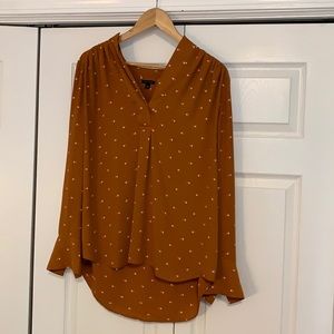 Ann Taylor Large Long Sleeve Blouse